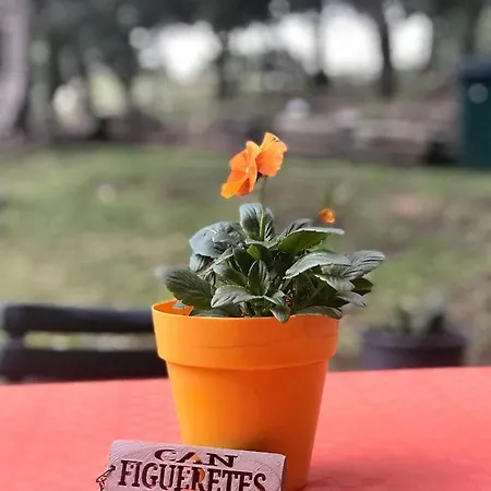 Can Figueretes Vakantiehuis Caldes de Malavella