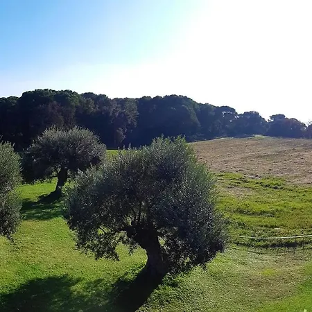 Can Figueretes Holiday home