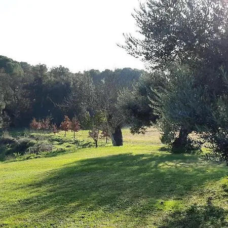 Can Figueretes Holiday home